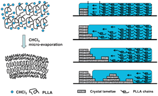 Graphical abstract: Chloroform micro-evaporation induced ordered structures of poly(l-lactide) thin films