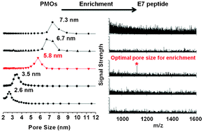 Graphical abstract: Pore size-optimized periodic mesoporous organosilicas for the enrichment of peptides and polymers