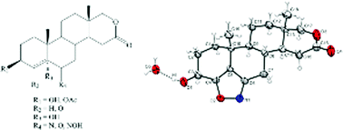 Graphical abstract: Synthesis, structural analysis and antiproliferative activity of some novel D-homo lactone androstane derivatives