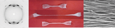 Graphical abstract: Water-triggered shape memory of multiblock thermoplastic polyurethanes (TPUs)