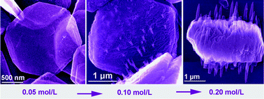 Graphical abstract: Evolution of cobalt hydroxide from 2D microplatelets to a 3D hierarchical structure mediated by precursor concentration