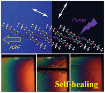 Graphical abstract: Spontaneous formation of a large area, aligned, ordered, π-conjugated film with polarized fluorescence and an amplified spontaneous emission based on a liquid crystalline bi-1,3,4-oxadiazole derivative