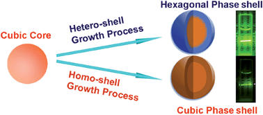 Graphical abstract: Growth of hexagonal phase sodium rare earth tetrafluorides induced by heterogeneous cubic phase core