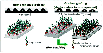 Graphical abstract: Homogeneously and gradually anchored self-assembled monolayer by tunable vapor phase-assisted silanization