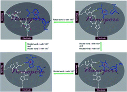 Graphical abstract: Universal base analogues and their applications in DNA sequencing technology