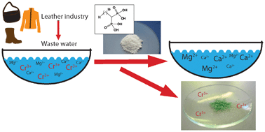Graphical abstract: A novel bisphosphonate-based solid phase method for effective removal of chromium(iii) from aqueous solutions and tannery effluents