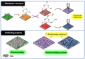 Graphical abstract: Surface zwitterionically functionalized PVA-co-PE nanofiber materials by click chemistry