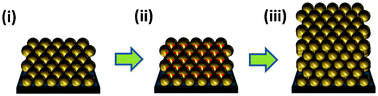 Graphical abstract: Seeded solution growth of nanoparticles into ordered three-dimensional supracrystals