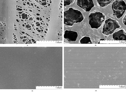 Graphical abstract: Electrochemical performance of lithium/sulfur batteries using perfluorinated ionomer electrolyte with lithium sulfonyl dicyanomethide functional groups as functional separator