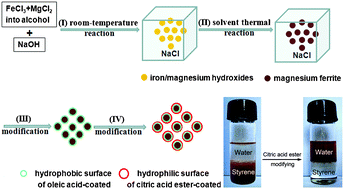 Graphical abstract: Well-dispersed, ultrasmall, superparamagnetic magnesium ferrite nanocrystallites with controlled hydrophilicity/hydrophobicity and high saturation magnetization