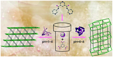 Graphical abstract: pH-dependent two novel 3D polynuclear cobalt(ii) cluster-based metal–organic frameworks constructed from a tri-pyridyl-bis-amide and a polycarboxylate: assembly, structures and properties