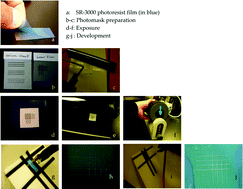 Graphical abstract: Rapid prototyping of microfluidic modules with a water-developable dry-film photoresist bondable to PDMS