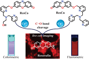 Graphical abstract: Reaction-based probes for Co(ii) and Cu(i) with dual output modes: fluorescence live cell imaging