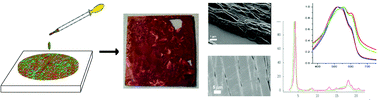 Graphical abstract: Fast fabrication over large areas of P3HT nanostructures with high supramolecular order