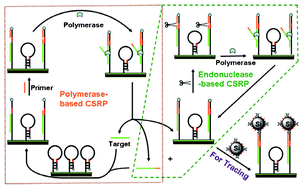 Graphical abstract: Sensitive fluorescence detection of DNA using isothermal exponential amplification coupled quantum dots coated silica nanospheres as label