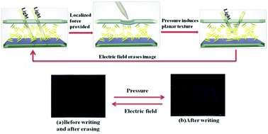 Graphical abstract: Polymer network microstructures and electro-optical properties of a pressure-sensitive cholesteric liquid crystal device