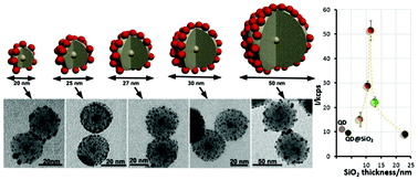 Graphical abstract: The effect of the silica thickness on the enhanced emission in single particle quantum dots coated with gold nanoparticles