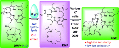 Graphical abstract: Chlorophyll tailored 20-trifluoroacetamide and its azacrown derivative as pH sensitive colorimetric sensor probe with response to AcO−, F− and CN− ions
