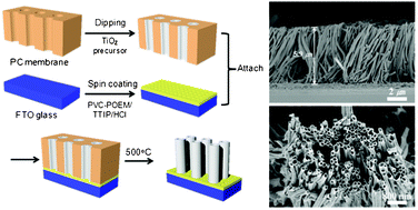 Graphical abstract: Vertically aligned anatase TiO2 nanotubes on transparent conducting substrates using polycarbonate membranes