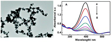 Graphical abstract: Caffeine assisted one-step synthesis of flower-like gold nanochains and their catalytic behaviors