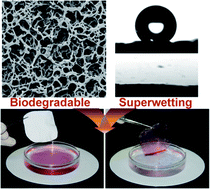 Graphical abstract: Superoleophilic and superhydrophobic biodegradable material with porous structures for oil absorption and oil–water separation