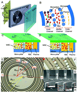 Graphical abstract: Multi-component continuous separation chip composed of micropillar arrays in a split-level spiral channel