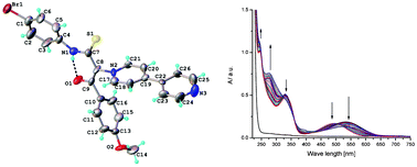 Graphical abstract: New cycloimmonium ylide ligands and their palladium(ii) affinities