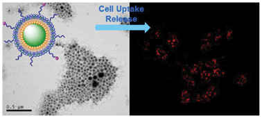 Graphical abstract: Lipid-coated nanoscale coordination polymers for targeted cisplatin delivery