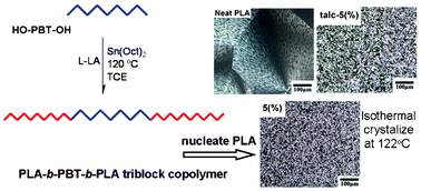 Graphical abstract: Synthesis and characterization of triblock copolymer PLA-b-PBT-b-PLA and its effect on the crystallization of PLA