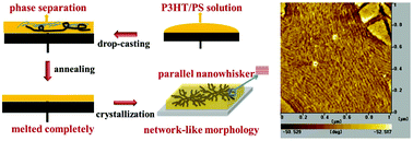 Graphical abstract: Hierarchical network-like structure of poly(3-hexlthiophene) (P3HT) by accelerating the disentanglement of P3HT in a P3HT/PS (polystyrene) blend