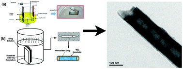 Graphical abstract: Intercalation of anti-inflammatory drug molecules within TiO2 nanotubes