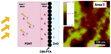 Graphical abstract: Origin of the boosted exciton separation at fullerene molecule modified poly(3-hexylthiophene)/ZnO interfaces