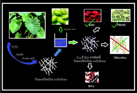 Graphical abstract: Copper–copper oxide coated nanofibrillar cellulose: a promising biomaterial