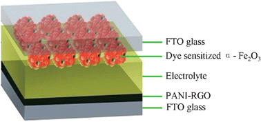 Graphical abstract: Dye-sensitized solar cells based on flower-shaped α-Fe2O3 as a photoanode and reduced graphene oxide–polyaniline composite as a counter electrode