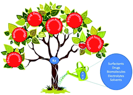 Graphical abstract: Influence of various additives on the physicochemical properties of imidazolium based ionic liquids: a comprehensive review