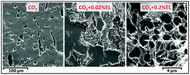 Graphical abstract: A clean and sustainable route towards the design and fabrication of biodegradable foams by means of supercritical CO2/ethyl lactate solid-state foaming