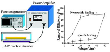 Graphical abstract: Nonspecific binding removal and specific binding regeneration using longitudinal acoustic waves