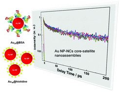 Graphical abstract: Optical properties of gold particle-cluster core–satellite nanoassemblies