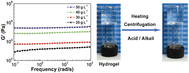 Graphical abstract: Hydrogels containing layered double hydroxide nanosheets: rheological behaviour and excellent stabilities