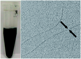 Graphical abstract: Dispersing single-walled carbon nanotubes in ionic liquids: a quantitative analysis