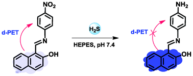 Graphical abstract: d-PET coupled ESIPT phenomenon for fluorescent turn-on detection of hydrogen sulfide