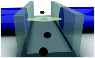 Graphical abstract: Optical stretching as a tool to investigate the mechanical properties of lipid bilayers