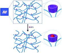 Graphical abstract: Gelatin-based hydrogels with β-cyclodextrin as a dual functional component for enhanced drug loading and controlled release