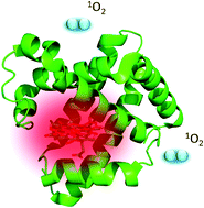 Graphical abstract: A self-assembled nanostructured material with photosensitising properties