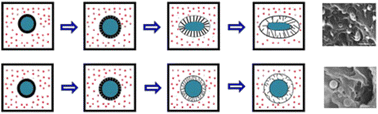 Graphical abstract: Core/shell rubber toughened polyamide 6: an effective way to get good balance between toughness and yield strength