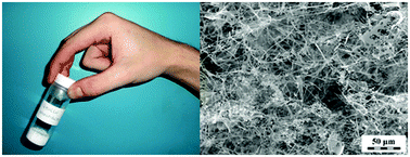 Graphical abstract: Biopolymer-based degradable nanofibres from renewable resources produced by freeze-drying