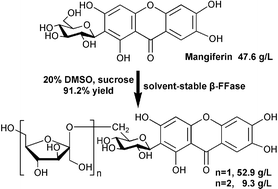 Graphical abstract: Efficient enzymatic synthesis of mangiferin glycosides in hydrophilic organic solvents