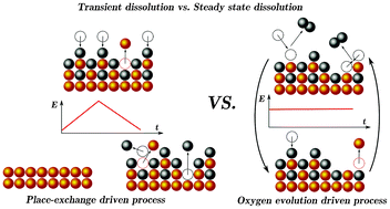 Graphical abstract: Gold dissolution: towards understanding of noble metal corrosion