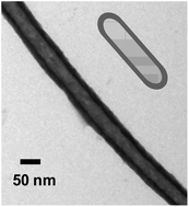 Graphical abstract: Synthesis of hollow silica nanostructures using functional hairy polymer nanofibers as templates