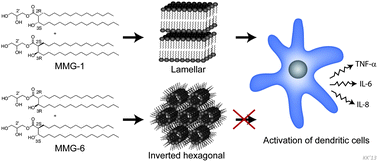 Graphical abstract: The supramolecular structure is decisive for the immunostimulatory properties of synthetic analogues of a mycobacterial lipid in vitro